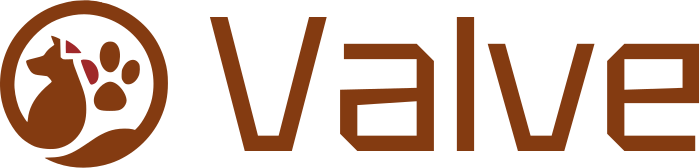 Valve logo design