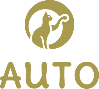 Auto logo design
