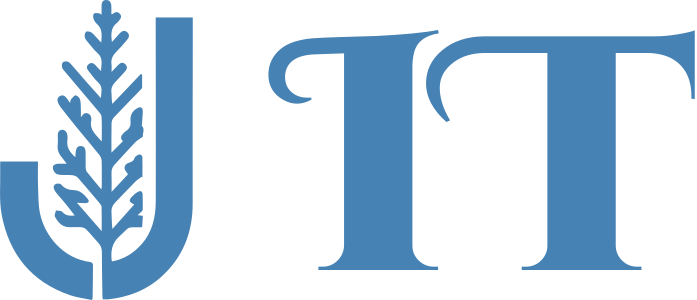 IT logo design