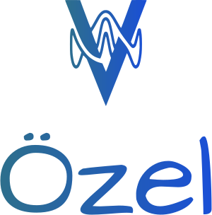 Özel logo tasarımı