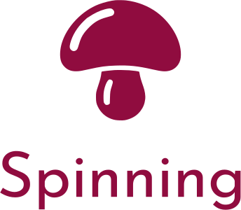 Spinning logo design
