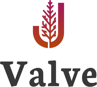 Valve logo design