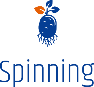 Spinning logo design