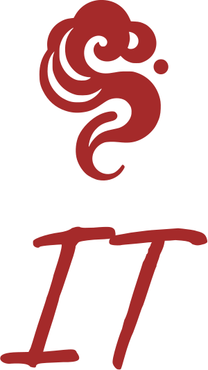 IT logo design