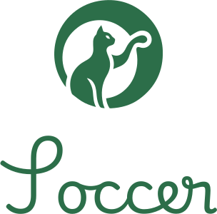 Soccer logo design