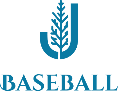Baseball logo design