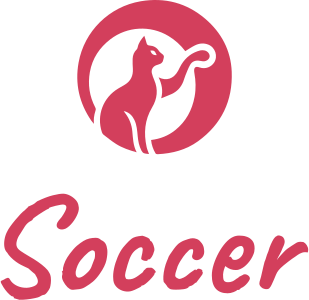 Soccer logo design