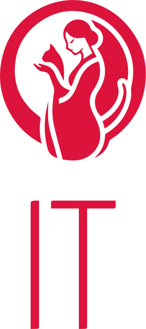 IT logo design