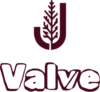 Valve logo design