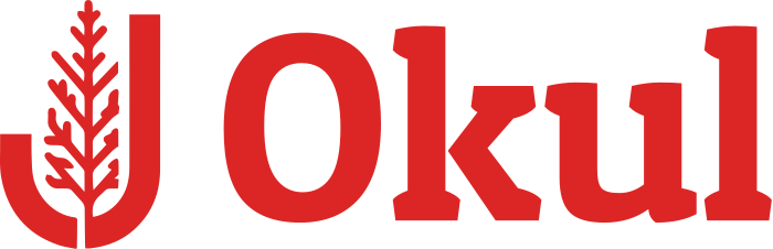 Okul logo tasarımı