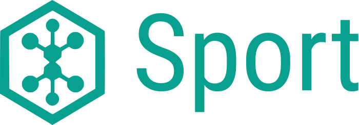 Sport logo design