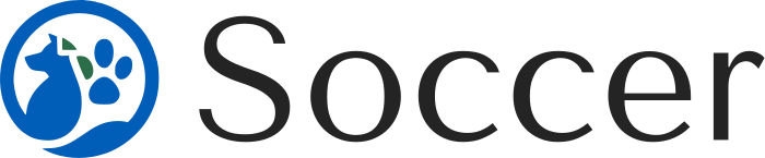 Soccer logo design