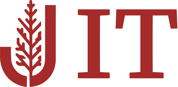 IT logo design