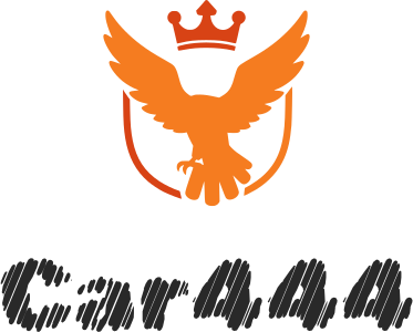 Car444 logo design
