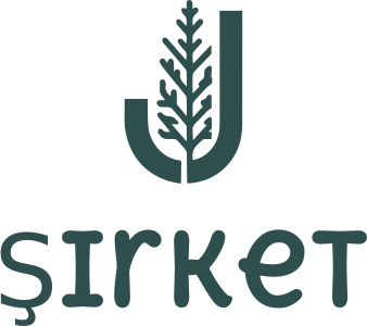 Şirket logo tasarımı