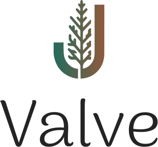 Valve logo design