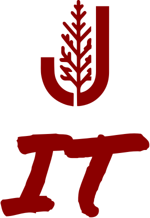 IT logo design