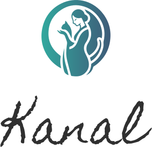 Kanal logo tasarımı