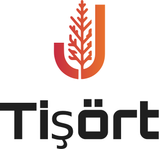 Tişört logo tasarımı