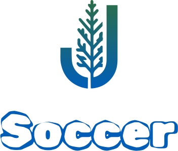 Soccer logo design