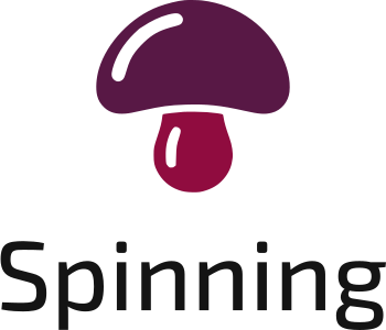 Spinning logo design