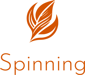 Spinning logo design