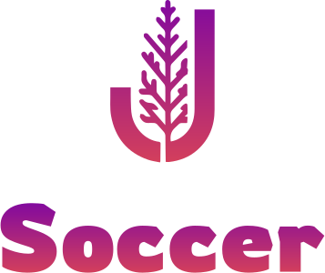 Soccer logo design