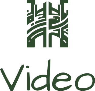 Video logo design