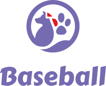 Baseball logo design