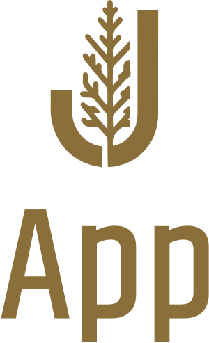App logo design