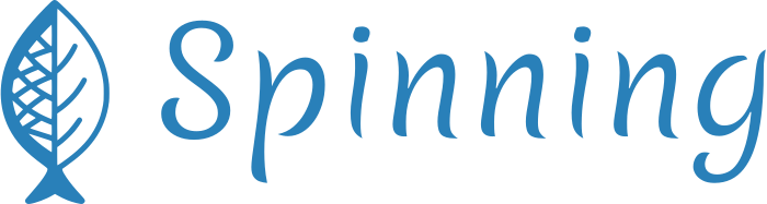 Spinning logo design