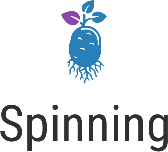 Spinning logo design