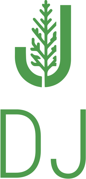 DJ logo design