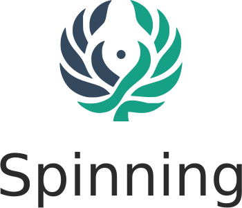 Spinning logo design