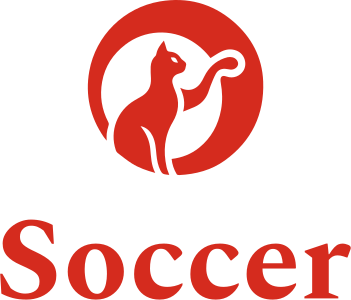 Soccer logo design