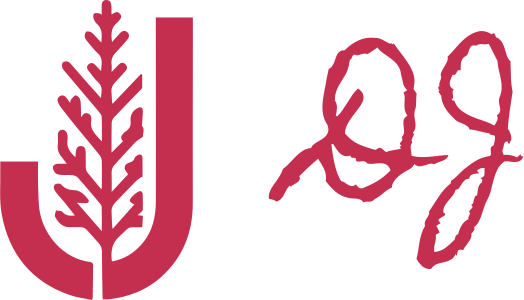 DJ logo design