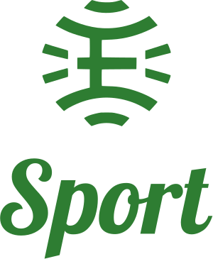 Sport logo design