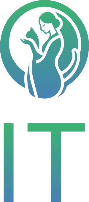 IT logo design