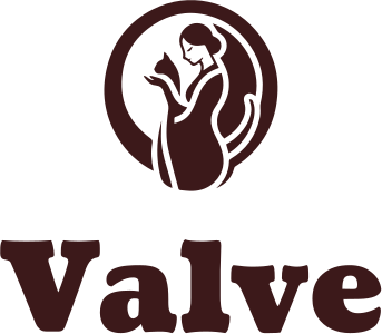 Valve logo design