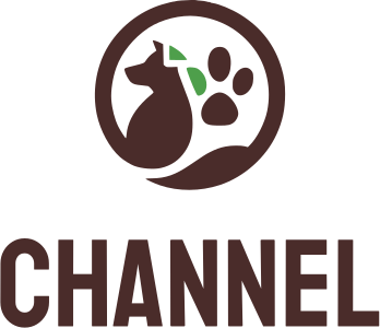 Channel logo design