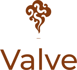Valve logo design
