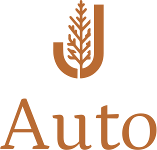 Auto logo design