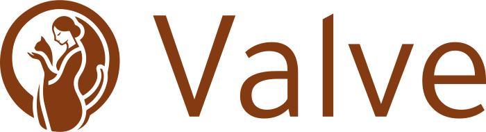 Valve logo design