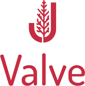 Valve logo design