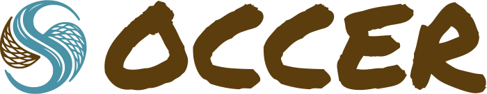 Soccer logo design