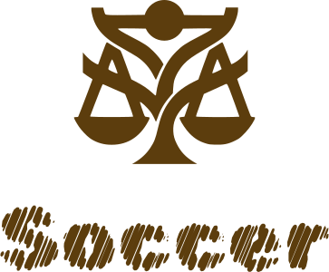 Soccer logo design
