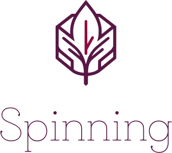 Spinning logo design