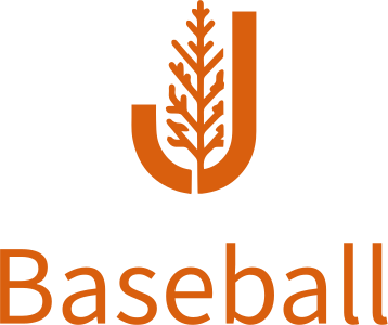 Baseball logo design