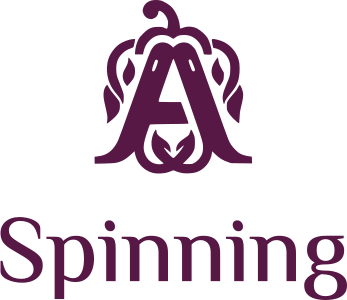 Spinning logo design