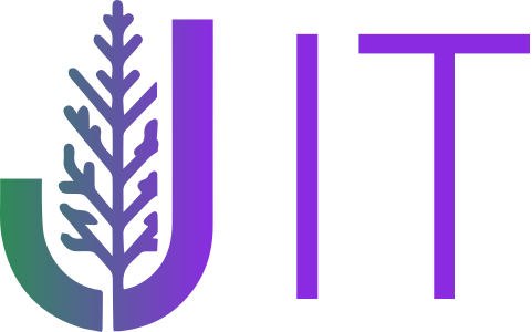 IT logo design